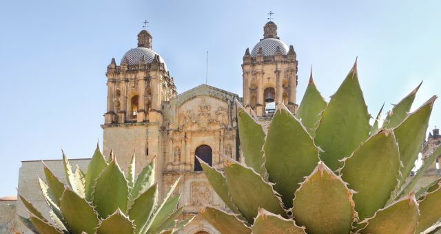 Church of Santo Domingo de Guzman in Oaxaca, Mexico and two desert plants.