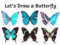 Let's Draw a Butterfly