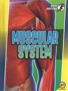 Muscular System