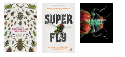 Insects - Books About Earth's Most Numerous Animals
