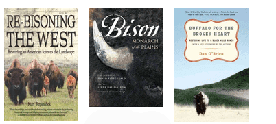 National Bison Day - November 2