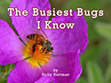 The Busiest Bugs I Know