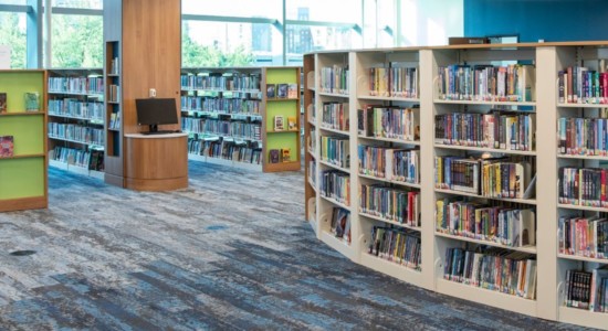 Field Trips, Tours, and Programs for Groups